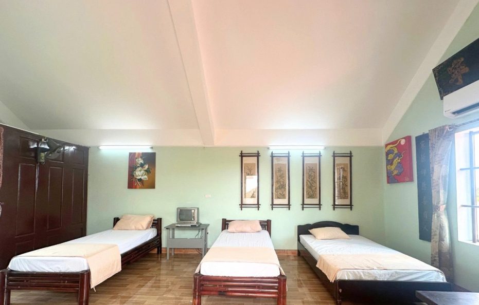 Hải Trung Ecohost