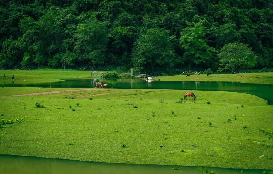 Hữu Liên Homestay