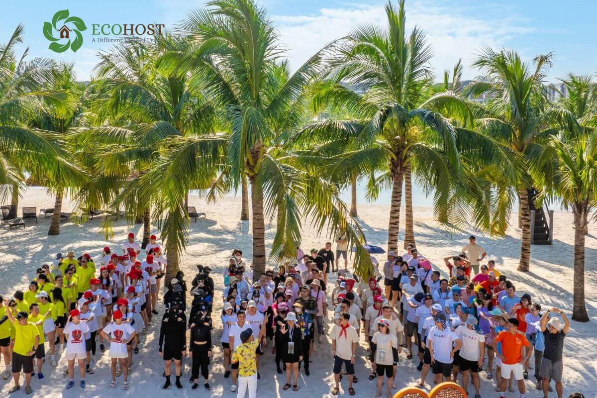 Cách Nhận Biết Công Ty Tổ Chức Team Building Chuyên Nghiệp, Uy Tín Và Có Năng Lực Thực Sự