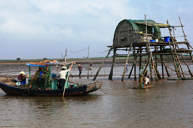 Chòi ngao ở Nam Định