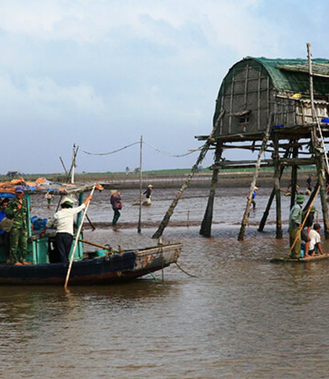Chòi ngao ở Nam Định
