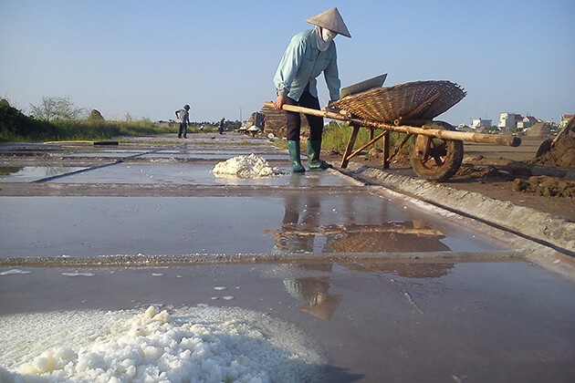 Cánh đồng muối Bạch Long