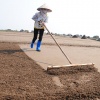 Cánh đồng muối Bạch Long ở Nam Định