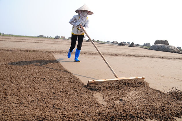 Cánh đồng muối Bạch Long ở Nam Định