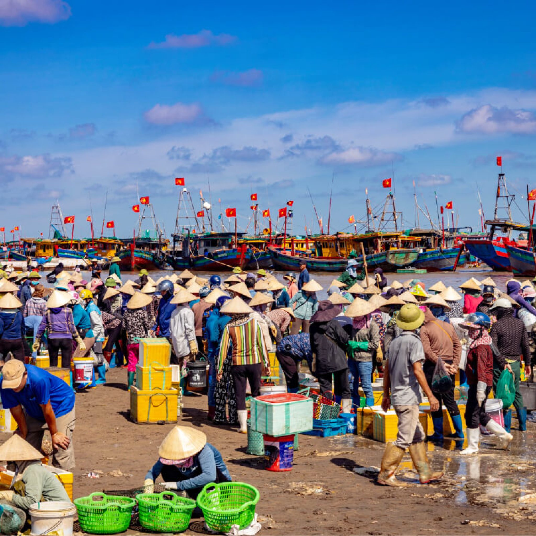 Ecohost Việt Nam