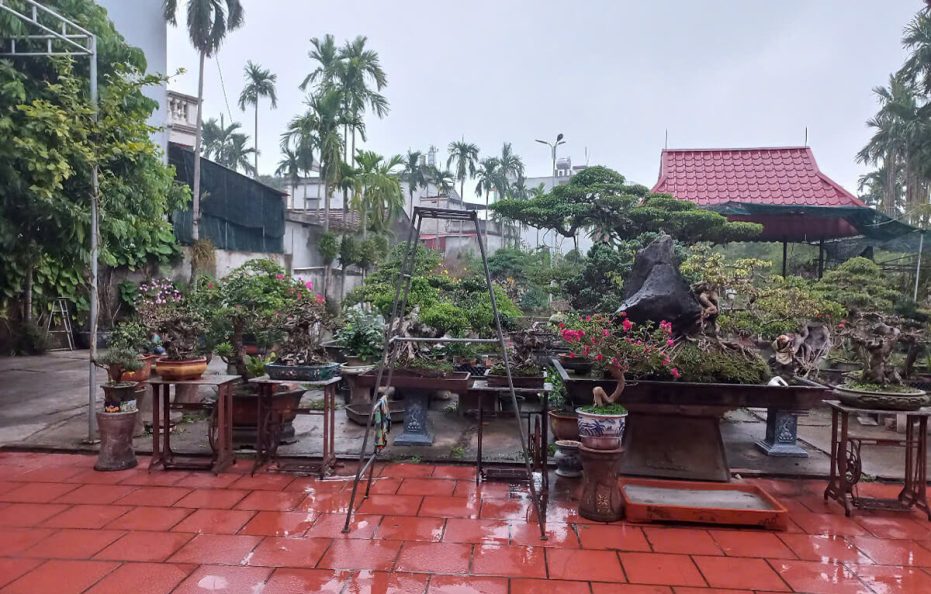 Hải Vân Homestay