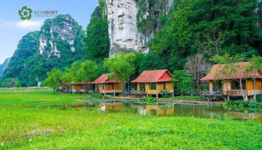 Không gian homestay cộng đồng Ecohost Ninh Bình xanh mát – địa điểm lý tưởng tổ chức game team building ngoài trời gần Hà Nộ