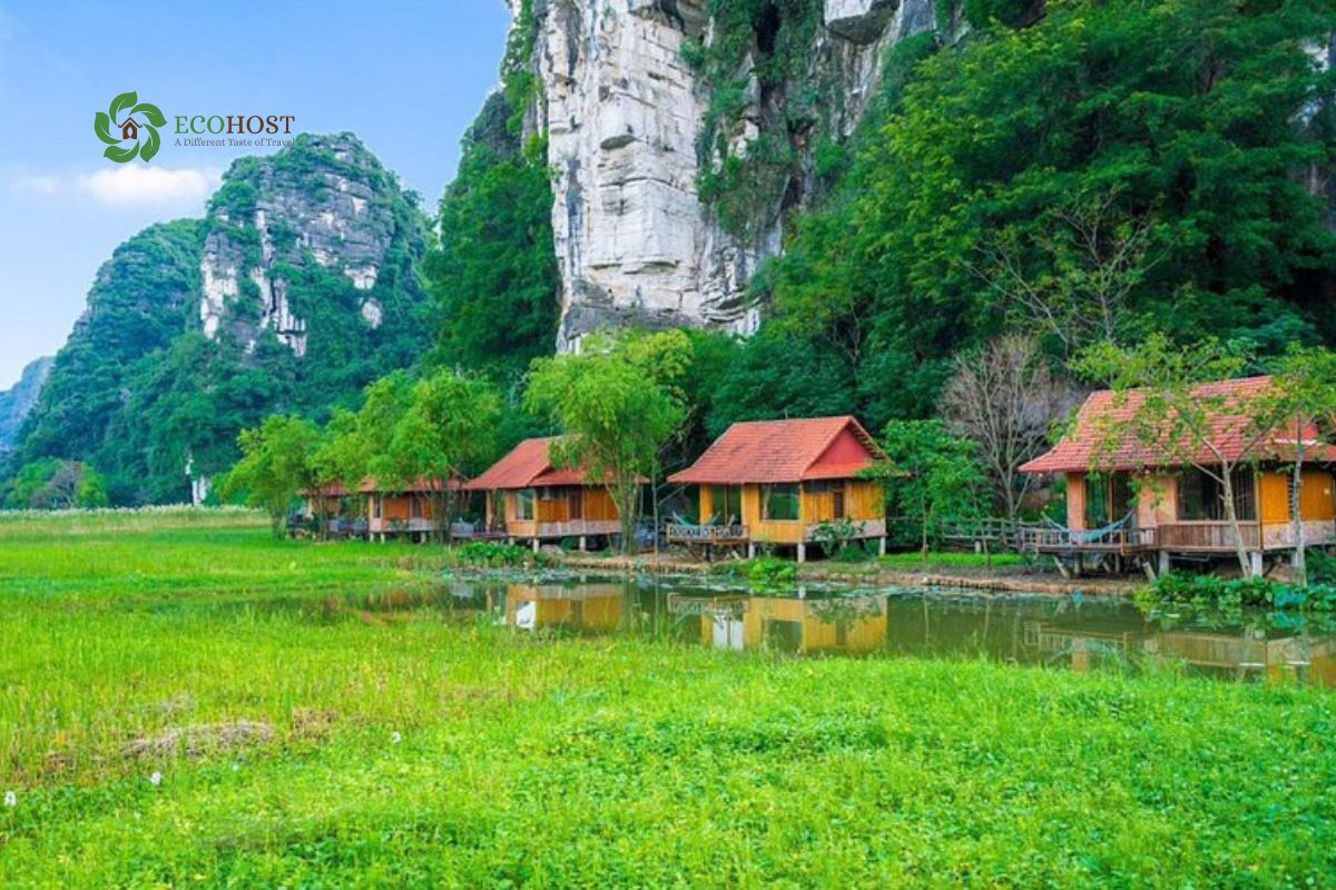 Không gian homestay cộng đồng Ecohost Ninh Bình xanh mát – địa điểm lý tưởng tổ chức game team building ngoài trời gần Hà Nộ