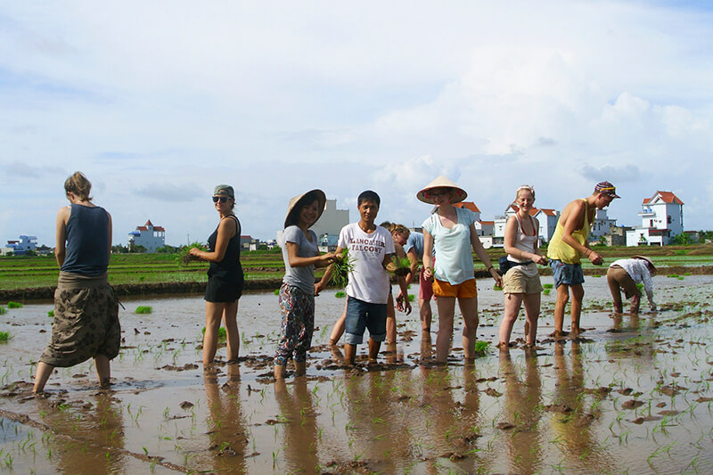 Sản phẩm du lịch sinh thái nông nghiệp