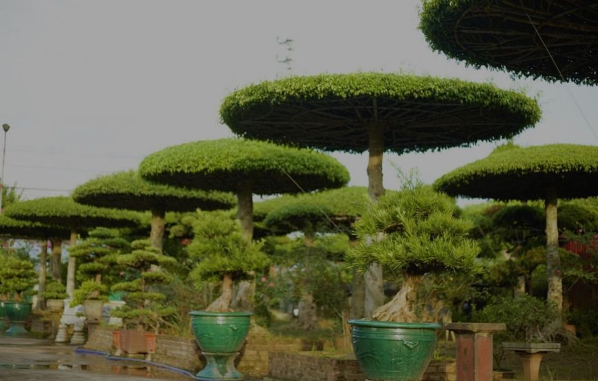 Du Khảo Đồng Quê Hải Hậu, Nam Định – 2 Ngày