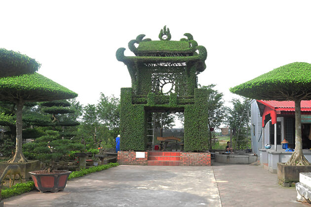 Làng cây cảnh Vị Khê ở Nam Định