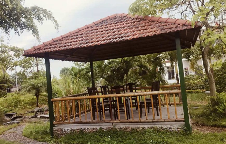 Phượng Hoàng – Tam Cốc