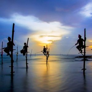 Sri Lanka – Điểm đến lý tưởng cho du lịch sinh thái tại châu Á