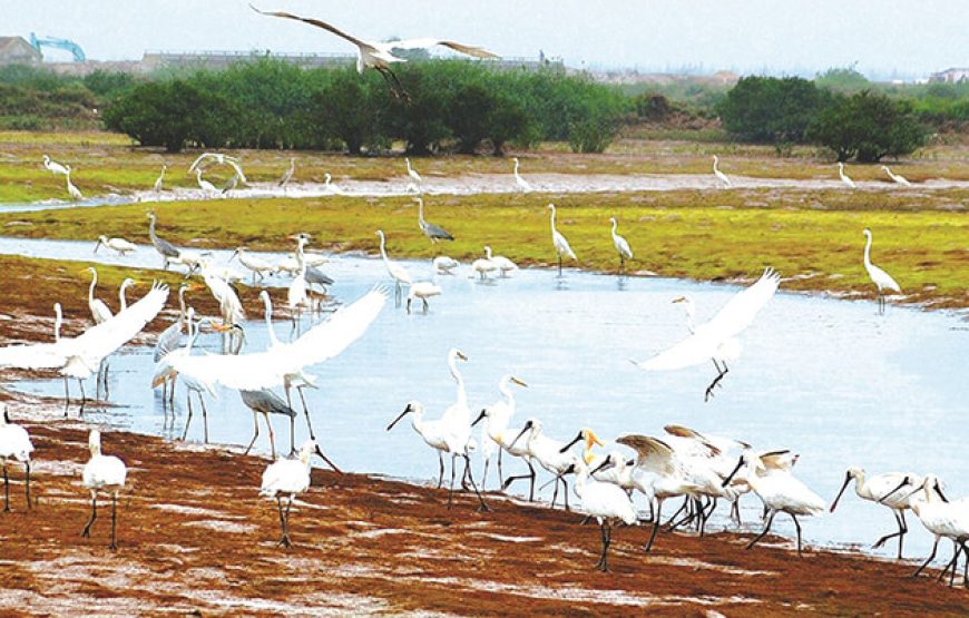 Du Khảo Đồng Quê Hải Hậu, Nam Định – 2 Ngày