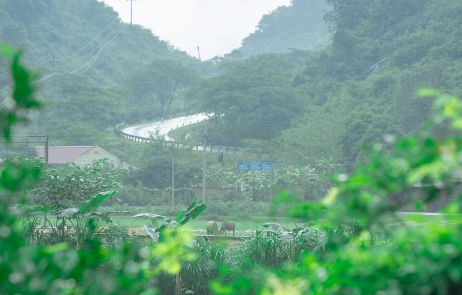 Mế Farmstay