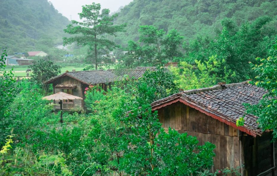 Mế Farmstay