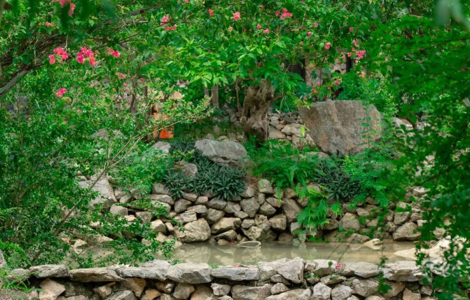 Mế Farmstay